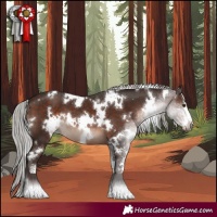 Horse Color:White Spotted Silver Brown Mushroom Sabino 