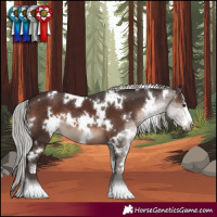 Horse Color:White Spotted Silver Brown Mushroom Sabino