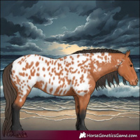 Horse Color:Bay Near Leopard 