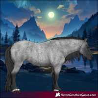 Horse Color:Blue Roan 