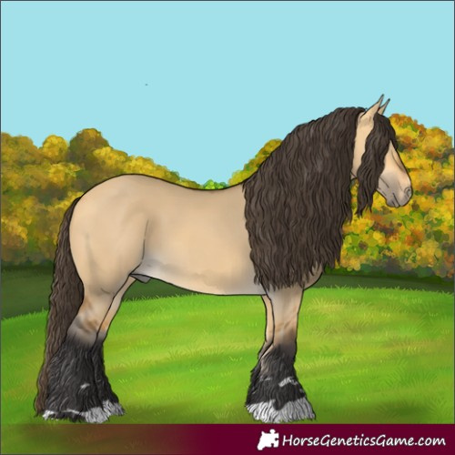 Horse Color:Buckskin Dun 
