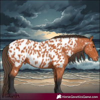 Horse Color:Bay Near Leopard 