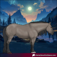 Horse Color:Grullo Rabicano 
