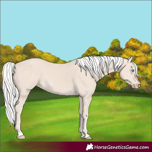 Horse Color:Silver Smoky Creme 