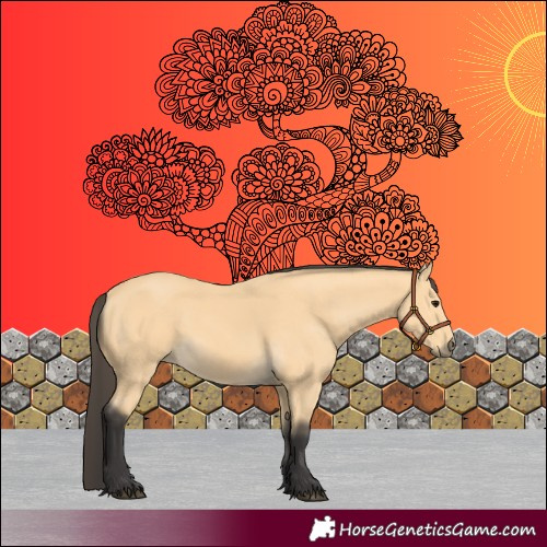 Horse Color:Buckskin 