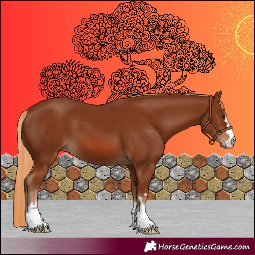 Horse Color:Chestnut 