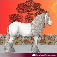 Horse Color:Smoky Creme Roan Dun 