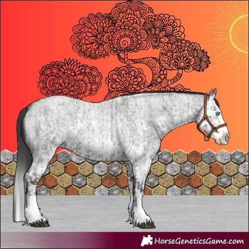 Horse Color:Blue Roan Sabino Splash  and Grullo Roan Sabino Splash 
