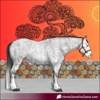 Horse Color:Blue Roan Sabino Splash  and Grullo Roan Sabino Splash 