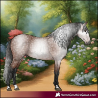 Horse Color:Gray Bay 