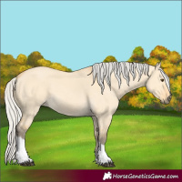 Horse Color:Silver Buckskin Dun Tobiano 