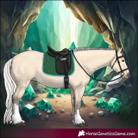 Horse Color:Silver Buckskin Dun Tobiano 