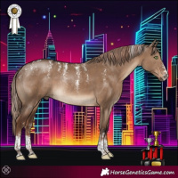 Horse Color:Powder White Liver Red Dun Sabino Rabicano 