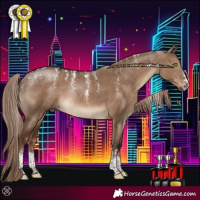 Horse Color:Powder White Liver Red Dun Sabino Rabicano
