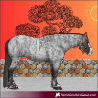 Horse Color:Smoky Blue Roan Sabino Splash  and Smoky Blue Roan Sabino Splash 