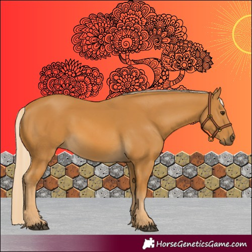 Horse Color:Palomino 