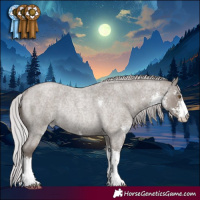 Horse Color:Platinum Silver Grullo Roan Sabino Rabicano