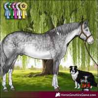 Horse Color:Platinum White Spotted Silver Buckskin Dun Splash Rabicano