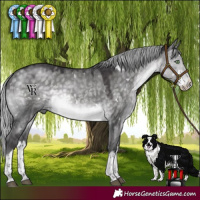 Horse Color:Platinum White Spotted Silver Buckskin Dun Splash Rabicano 