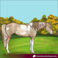 Horse Color:Chocolate Palomino Pearl Tobiano Frame and Smoky Black Pearl Tobiano Frame