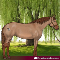 Horse Color:Red Dun