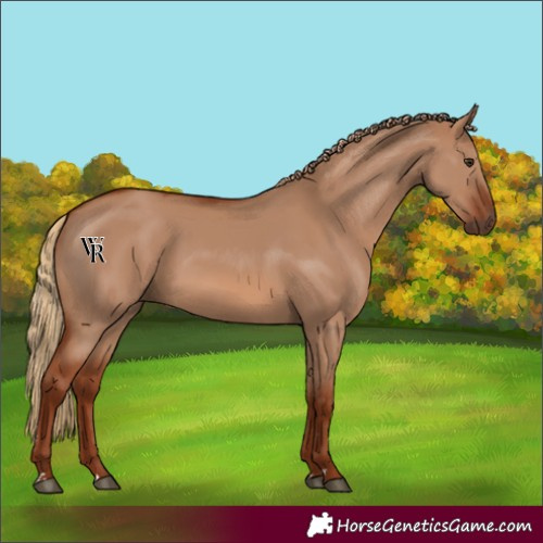 Horse Color:Red Dun 