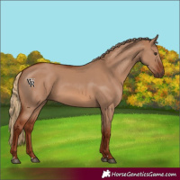Horse Color:Red Dun 