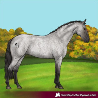 Horse Color:Smoky Grullo Roan 