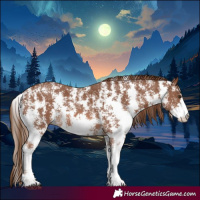 Horse Color:Chestnut Sabino 
