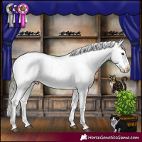 Horse Color:White Spotted Liver Chestnut Sabino Appaloosa Rabicano