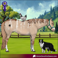 Horse Color:Powder White Red Dun Rabicano 