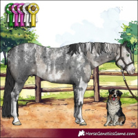 Horse Color:Powder White White Spotted Silver Smoky Grullo Brindle  and Powder White Blue Roan 