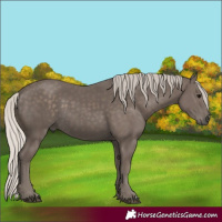 Horse Color:Silver Black 
