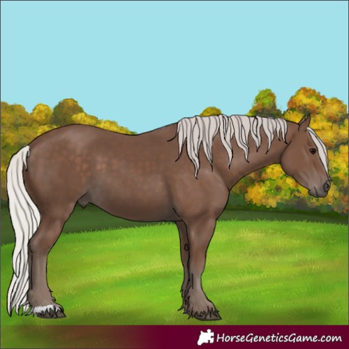 Horse Color:Silver Black 