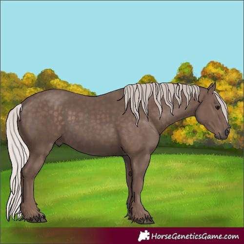 Horse Color:Silver Black