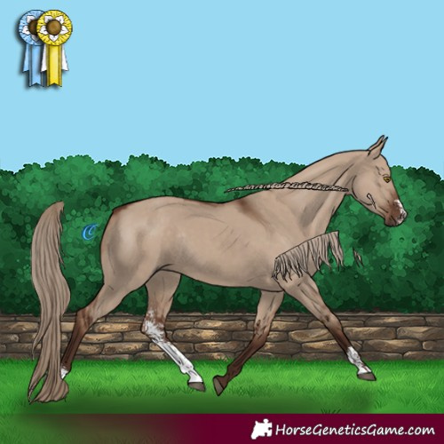 Horse Color:Liver Red Dun Sabino Rabicano 