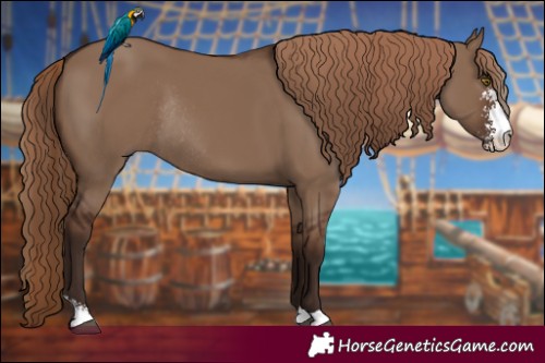 Horse Color:Liver Red Dun Sabino Rabicano 