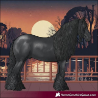 Horse Color:Black 