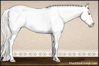 Horse Color:Silver Buckskin Splash Tobiano Appaloosa 