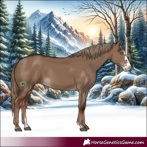 Horse Color:Liver Red Dun Sabino Rabicano 