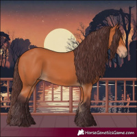 Horse Color:Chocolate Bay 