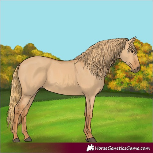 Horse Color:Red Dun