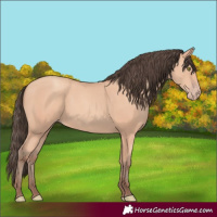 Horse Color:Amber Champagne 