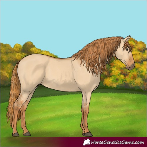 Horse Color:Red Dun 