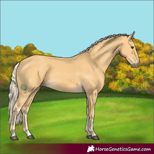 Horse Color:Palomino