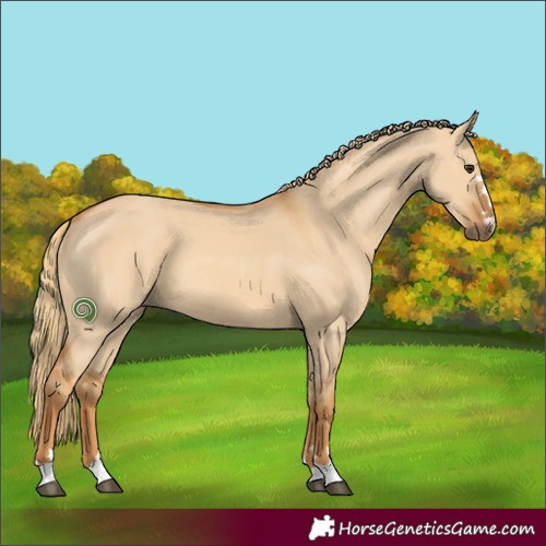 Horse Color:Red Dun