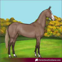 Horse Color:Unknown 