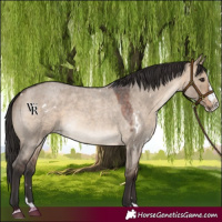 Horse Color:White Spotted Brown Roan Dun Splash Rabicano