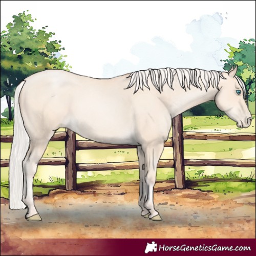 Horse Color:Silver Sable Cream Champagne Pearl 
