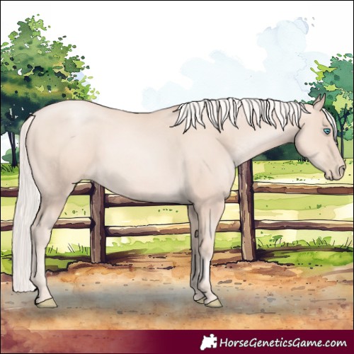 Horse Color:Gold Cream Champagne Pearl 